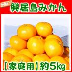 家庭用 興居島みかん 約5kg/愛媛県産 ミカン 　北海道・沖縄別途送料1000円