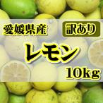 1000円 送料無料-商品画像