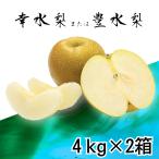  нет груша примерно 8kg (4kg×2 коробка ). вода груша кроме того, . вода груша Ehime префектура производство кроме того, Tokushima префектура производство / наклон рейс 
