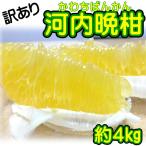  есть перевод Kawauchi .. примерно 4kg + возмещение 500g Ehime префектура производство 