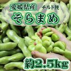 愛媛県産 そらまめ 約2.5kg チルド便