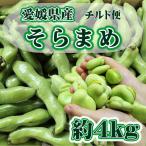 愛媛県産 そらまめ 約4kg チルド便