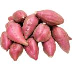  Satsuma клубень .. золотой час становится . золотой час 5kg Tokushima префектура производство 