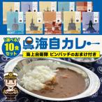レトルト 海上自衛隊 【 呉海自カレー \選べる/10食セット(ピンバッチのおまけ付き) 】呉基地 艦艇 海自 呉