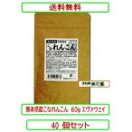 ショッピングエヴァ 熊本県産 こなれんこん 60g X40個セット　蓮根 レンコン エヴァウェイ