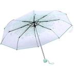 透明な女の子の傘透明な折りたたみ傘おしゃれなプリンセスの傘チェリー4色Hipsterkid傘子供用、女の子用、男の子用、幼児用(ブ(ブルーグリーン)