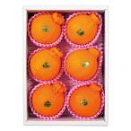 [ подарок по случаю конца года ][WNF] Saga префектура сосна . восток часть производство house декоративный элемент pon6 шт | надеты день указание не возможно / 12 месяц 10 день .. последовательный доставка 