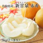 [ ваш заказ ][WF] Tottori префектура производство новый . Izumi [ красный превосходящий ] 5kg(7~8 шар ). предмет для | надеты день указание не возможно / Okinawa * отдаленный остров рассылка не возможно / 8 месяц последняя декада .. последовательный отгрузка 