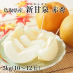 [ ваш заказ ][WF] Tottori префектура производство новый . Izumi [ красный превосходящий ] 5kg(10~12 шар ). предмет для | надеты день указание не возможно / Okinawa * отдаленный остров рассылка не возможно / 8 месяц последняя декада .. последовательный отгрузка 