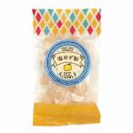 . замок Ishii соль yuzu конфеты 90g