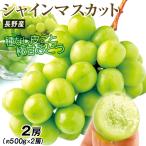 ぶどう 長野産 ご家庭用 シャインマスカット 約1kg 種なし 皮ごとOK 約500g×2房送料無料 食品
