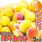 梅 紀州南高梅【熟梅】 5kg 和歌山産 冷蔵便 送料無料 食品