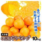 みかん 10kg お買得 サンセレブ 大分産 ご家庭用 送料無料 食品