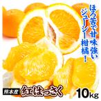 みかん 10kg 紅はっさく ご家庭用 熊本産 送料無料 食品