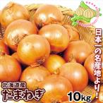 玉ねぎ 北海道産 たまねぎ 10kg 送料無料 食品
