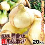 ショッピング送料無料 玉ねぎ 20kg 芦北の新たまねぎ 熊本産 送料無料 食品