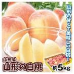 桃 5kg 山形産 大特価 山形の白桃（12〜25玉）1箱 送料無料 もも ピーチ フルーツ 果物 国華園