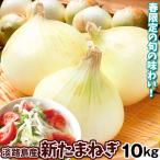 玉ねぎ 10kg 新たまねぎ 淡路島産 タマネギ 送料無料 食品