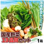 お試し国産野菜セット 13種1箱 【常温便】 送料無料 食品