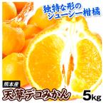 ショッピングデコポン みかん 天草デコみかん 5kg 熊本産 デコ 不知火 オレンジ デコポンと同品種 柑橘 送料無料 食品