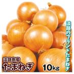  лук репчатый 10kg лук репчатый Awaji Island производство бесплатная доставка еда 
