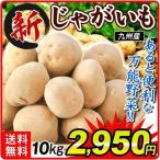 じゃがいも 九州産 10kg 送料無料 芋 馬鈴薯 食品