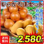 じゃがたまセット 5kg 玉ねぎ 2.5kg じゃがいも 2.5kg 国産野菜 新鮮 九州 送料無料 食品 国華園