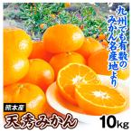  мандарин 10kg небо превосходящий мандарин Kumamoto производство бесплатная доставка еда 
