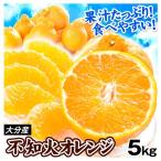 不知火 みかん 5kg 大分産 不知火オレンジ 送料無料 デコポン と同品種 デコ しらぬい ご家庭用 デコみかん 食品 国華園