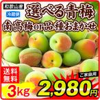  слива 3kg Wakayama производство можно выбрать синий слива товар вид случайный or юг высота слива .. бесплатная доставка рефрижератор рейс еда 