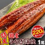 うなぎ 国産 蒲焼 一本物 特大 約220g 1尾1組【有頭・無頭をお選びください】ご家庭用 冷凍 国華園