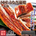 鰻 国産 うなぎ蒲焼 2尾 一本物 ウナ