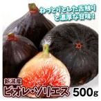  инжир примерно 500gbiore* санки es Niigata производство редкий товар вид рефрижератор рейс бесплатная доставка еда 