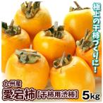 柿 約5kg 愛宕柿 【干柿用渋柿】 九