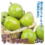 梨 5kg ラ・フランス 山形産 洋梨 ご家庭用 洋梨の女王 送料無料 食品