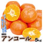 みかん 5kg アンコール 大分産 大特価 ご家庭用 送料無料 食品 国華園