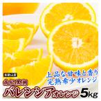 オレンジ-商品画像