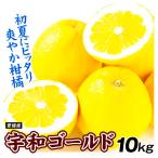 みかん 10kg 宇和ゴールド 愛媛産 お買得 ご家庭用 数量限定 柑橘 送料無料 食品