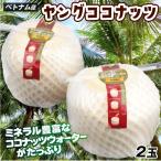  кокос 2 шар Young кокос Вьетнам производство Nankoku cocos nucifera. реальный тропический соломинка имеется кокос напиток бесплатная доставка еда фрукты фрукты страна ..