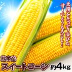 スイートコーン 熊本産 とうもろこし 約4kg(10〜12本) 送料無料 食品 冷蔵便