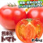 トマト 熊本産 トマト 約4kg ご家庭用 送料無料 食品