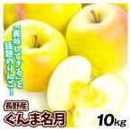 りんご 長野産 ぐんま名月 10kg ご家庭用 送料無料 食品