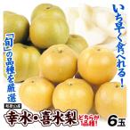 なし 6玉 幸水梨 喜水梨 和梨 和歌山産 1品種 ご家庭用 (7月下旬〜発送)送料無料 食品