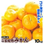 みかん 10kg 和歌山産 ご家庭用 (11月中旬〜発送) 送料無料 食品