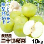 梨 10kg 二十世紀梨 長野産 ご家庭用 青梨 ナシ なし 和梨 名産地 送料無料 食品