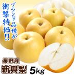 梨 5kg 新興梨 長野産 ご家庭用 ナシ なし 赤梨 和梨 名産地 送料無料 食品