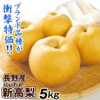 梨 5kg 新高梨 長野産 ご家庭用 ナシ なし 赤梨 和梨 名産地 送料無料 食品