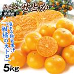 みかん 5kg せとか ご家庭用 愛媛産 ミカン 送料無料 食品