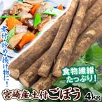  gobou 4kg земля есть gobou Miyazaki производство корова . клетчатка корнеплоды овощи бесплатная доставка еда 