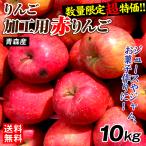 ショッピング皮 りんご 青森産 加工用 赤りんご 10kg 訳あり 送料無料 食品